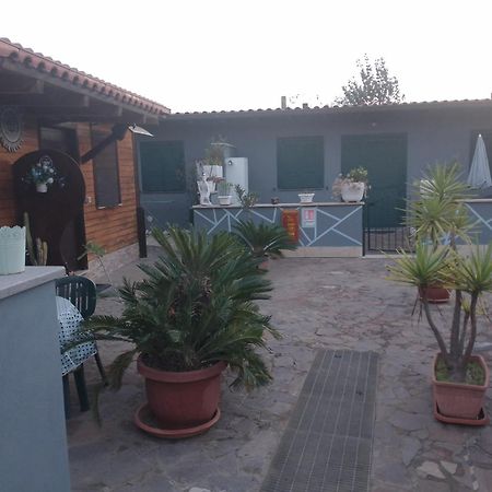 Aquila Di Mare Villa Fiumicino Ruang foto