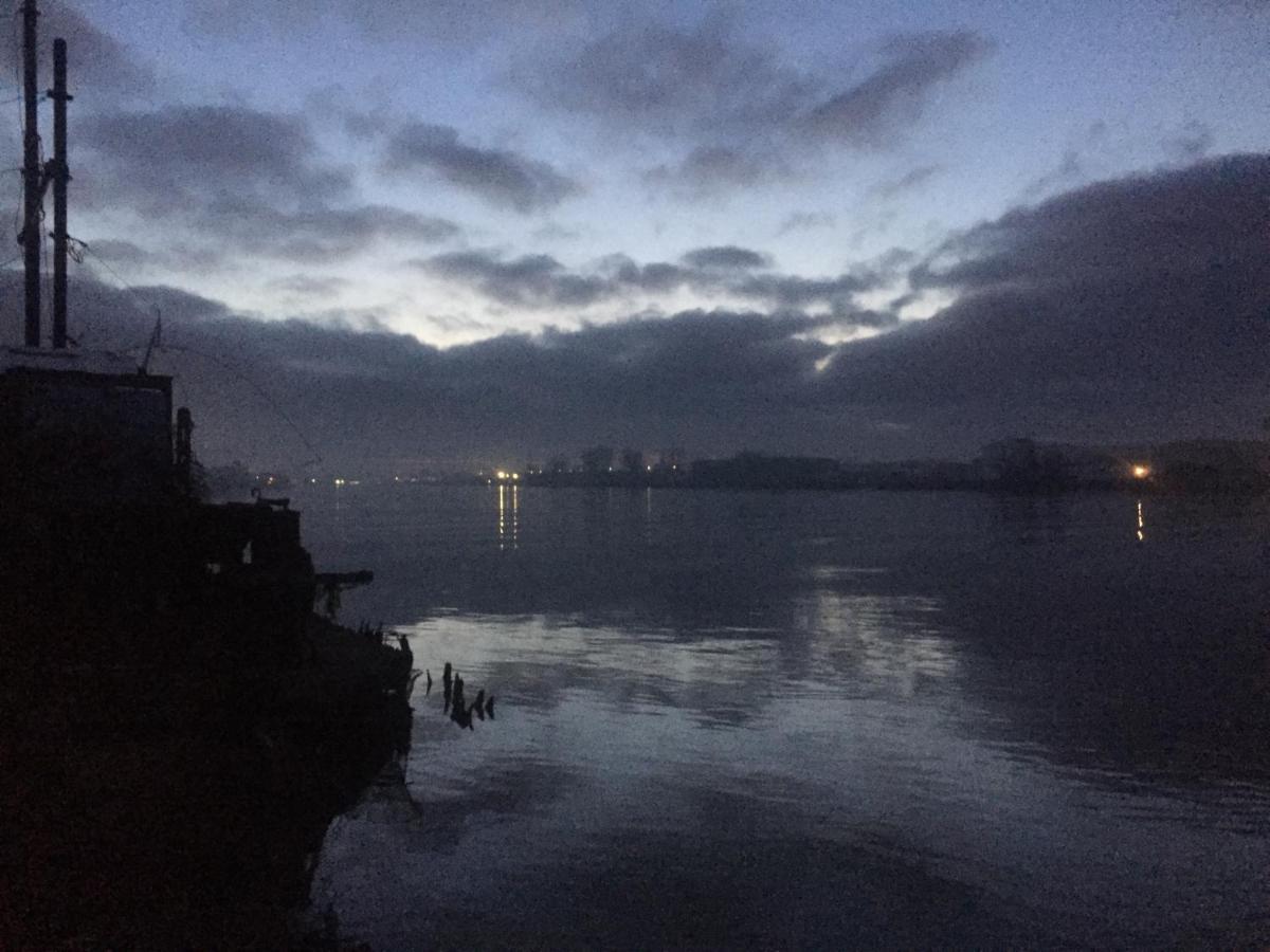 Aquila Di Mare Villa Fiumicino Bagian luar foto
