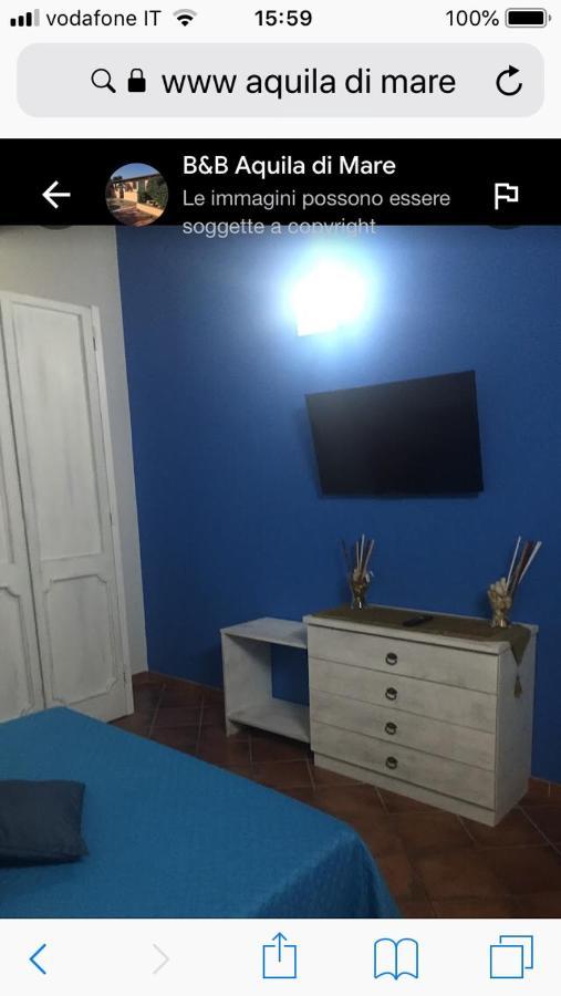 Aquila Di Mare Villa Fiumicino Bagian luar foto