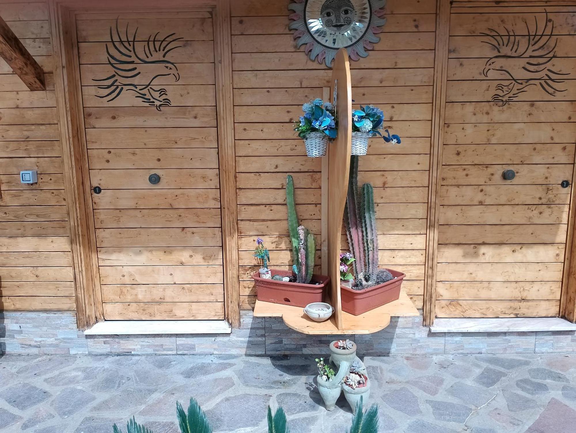 Aquila Di Mare Villa Fiumicino Bagian luar foto