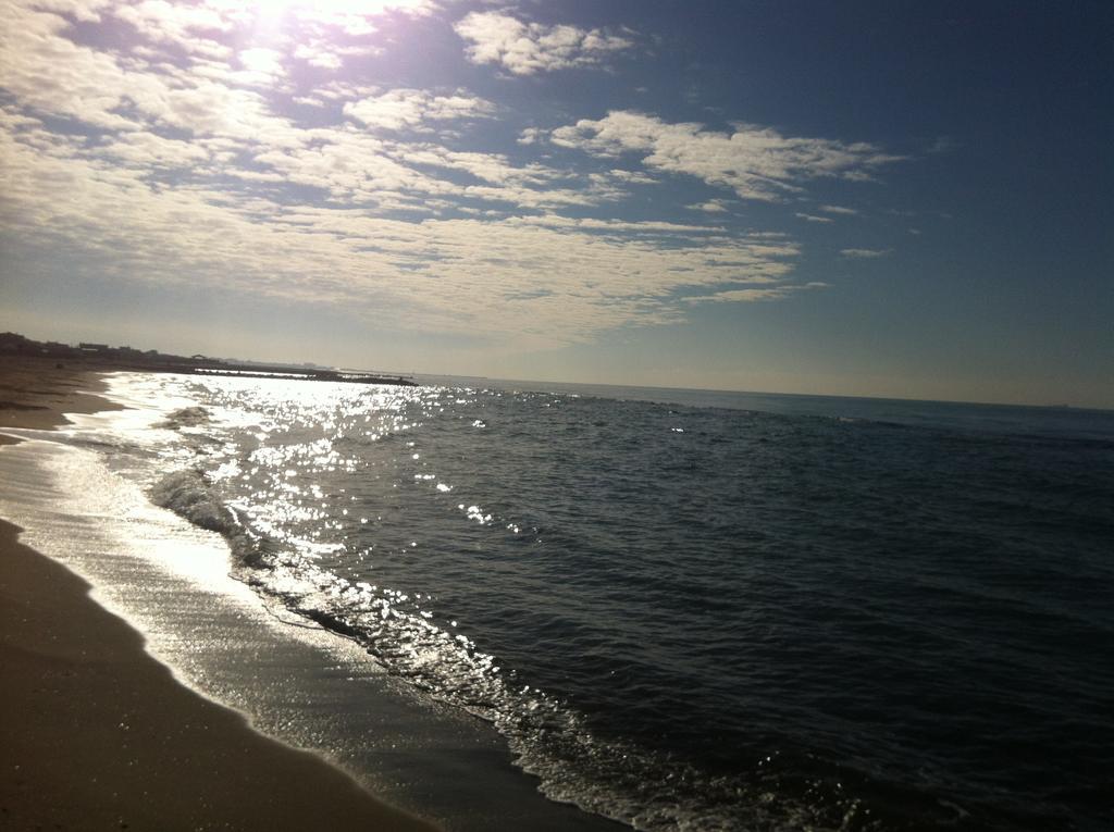 Aquila Di Mare Villa Fiumicino Bagian luar foto